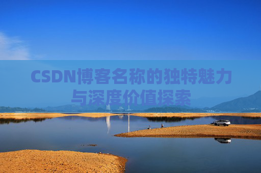 CSDN博客名称的独特魅力与深度价值探索